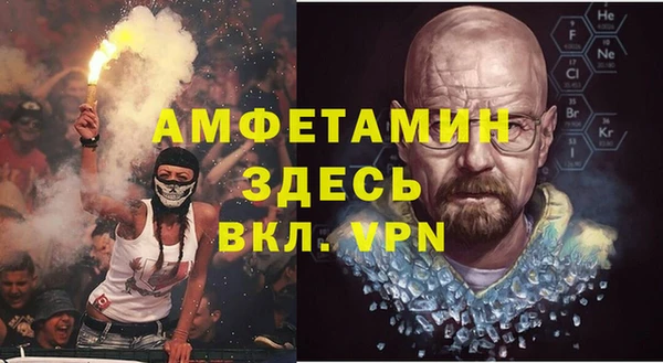 твердый Вяземский